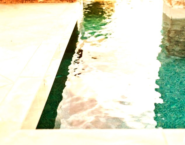 Pool - Contemporary Pool