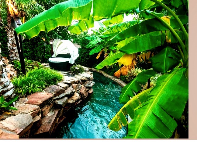 Tropical Pool - Fountain