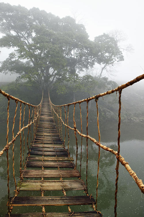 Island Rope Bridge, Sapa,Vietnam