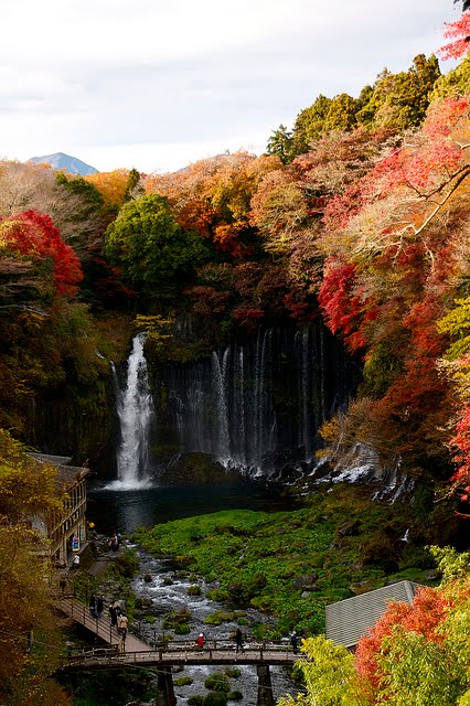 Autumn, Shiraito Falls, Fujinomiya, Japan